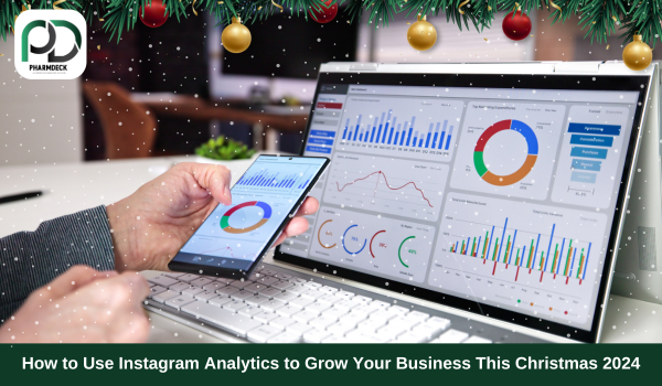 How to Use Instagram Analytics to Grow Your Business This Christmas 2024