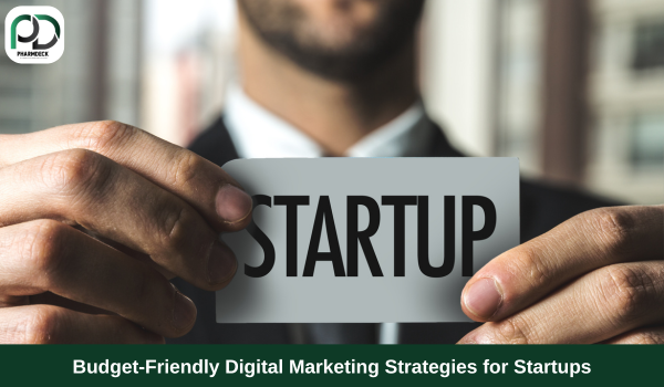 Budget-Friendly Digital Marketing Strategies for Startups