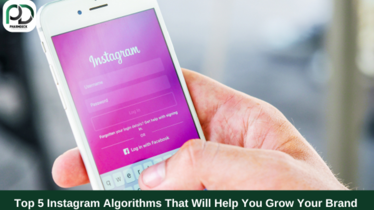 Top 5 Instagram Algorithms That Will Help You Grow Your Brand